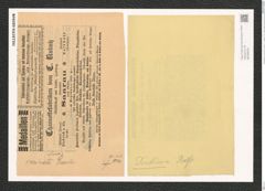 Pleurosigma sp. (de-Toni-Nr.: Genus 17 ?, Species 1153 ?) Zeichnungen Sammlung Grunow (NHMW-BOT-W0369204)
